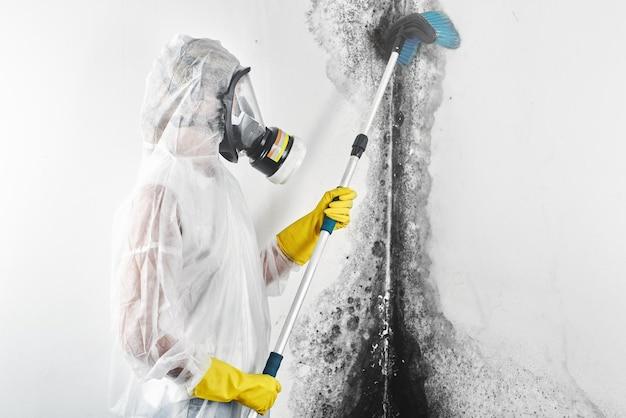 clean and green mold remediation