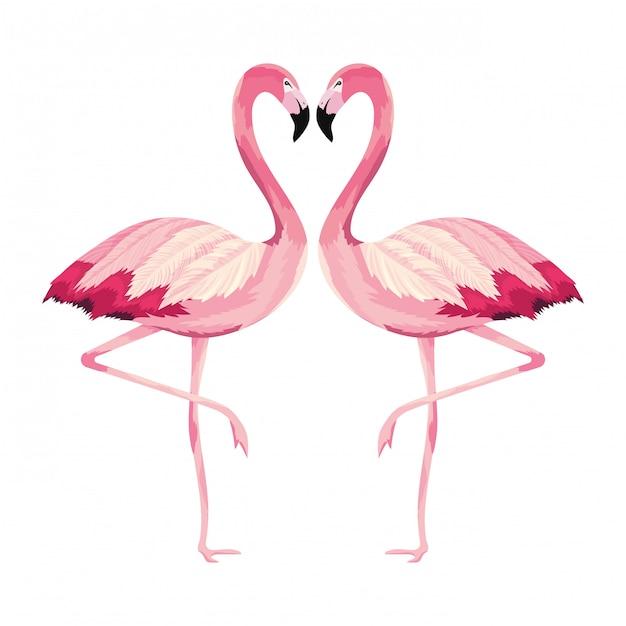 is flamingo cruelty free