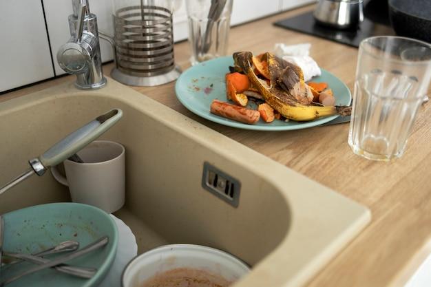 garbage disposal draining into other sink