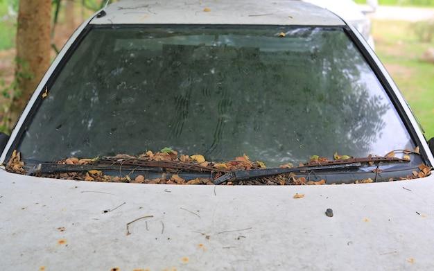 hail damage window repair