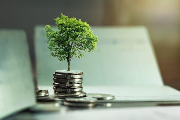 how to get into sustainable finance