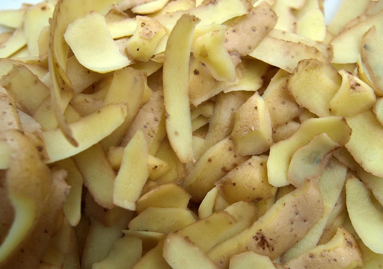 potato peels clogged garbage disposal