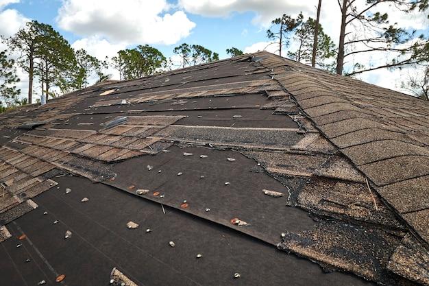 roof repair from tree damage