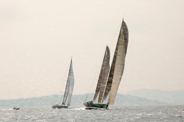 evolution america's cup boats