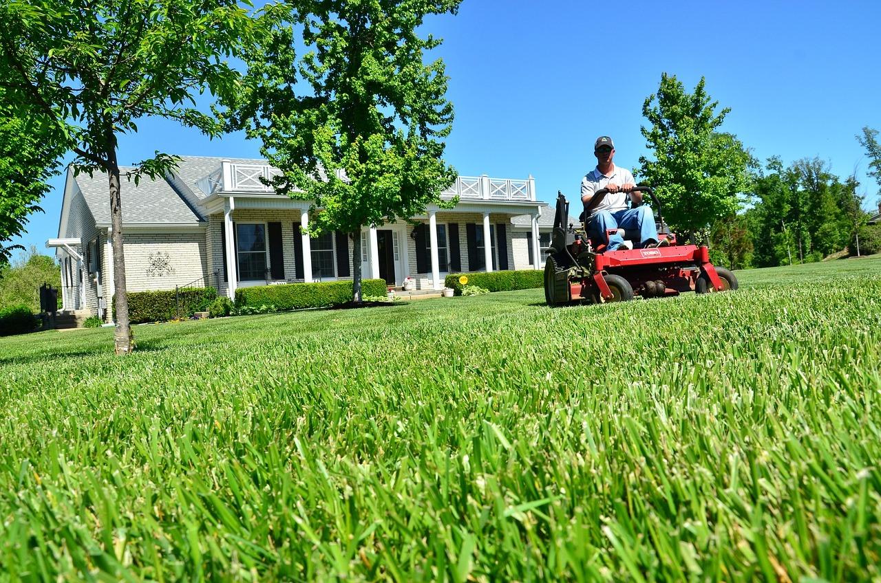 accurate lawn service