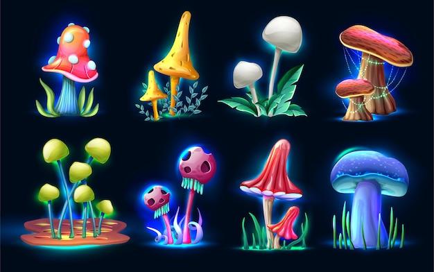 alice mushrooms forbes