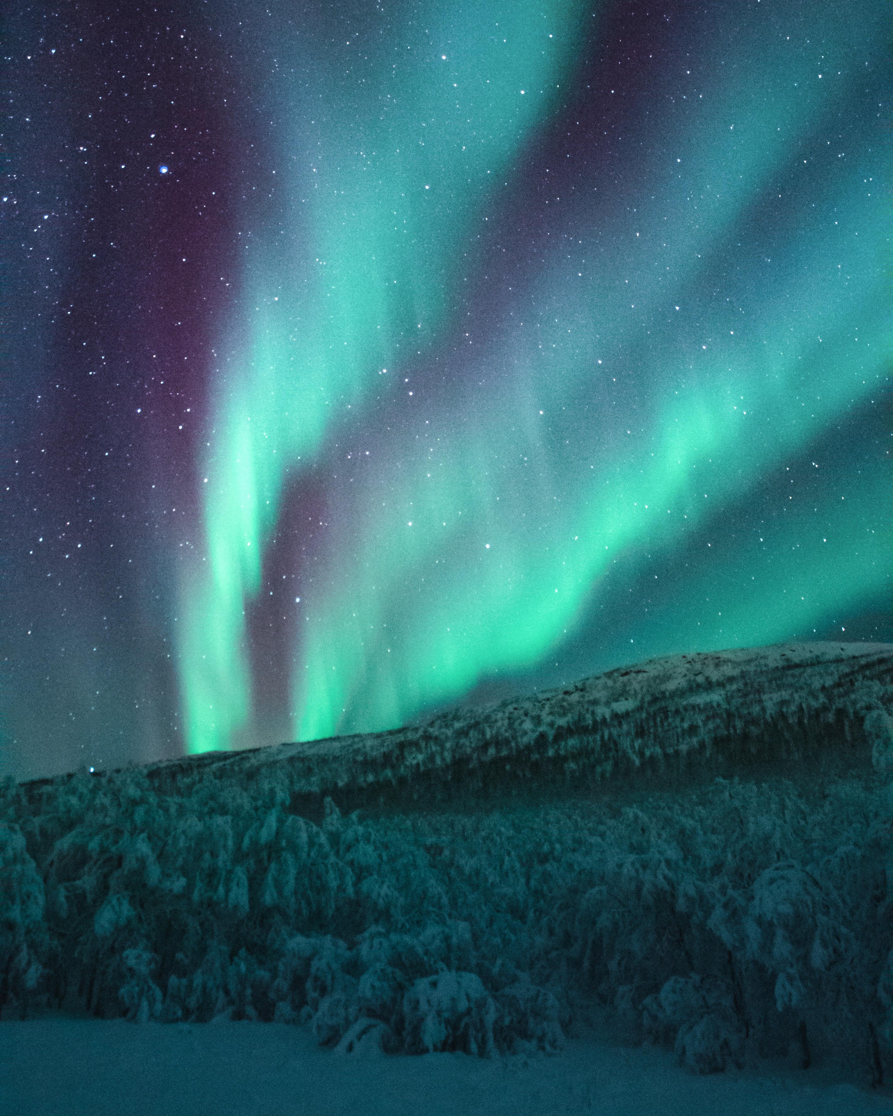 Aurora Borealis in NYC A Spectacular Display of Northern Lights OATUU