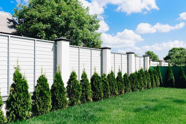 backyard fence line landscaping ideas