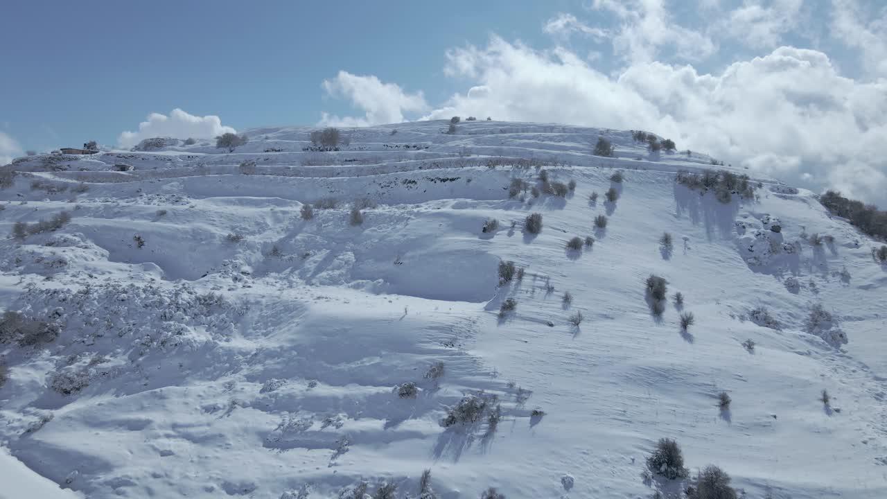 breckenridge brewery snowboard