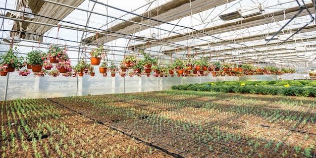 brick based greenhouses