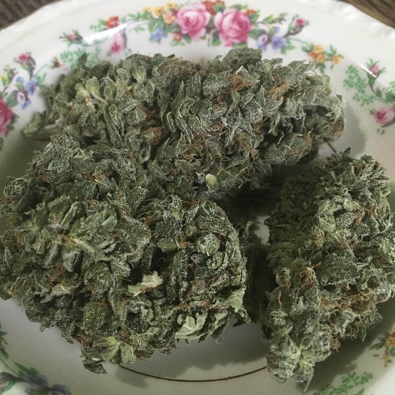 caramel apple weed strain