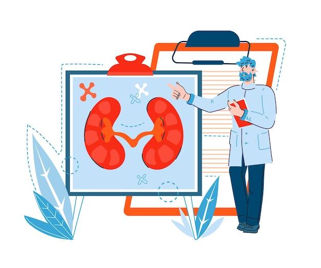 carnivore diet kidney stones