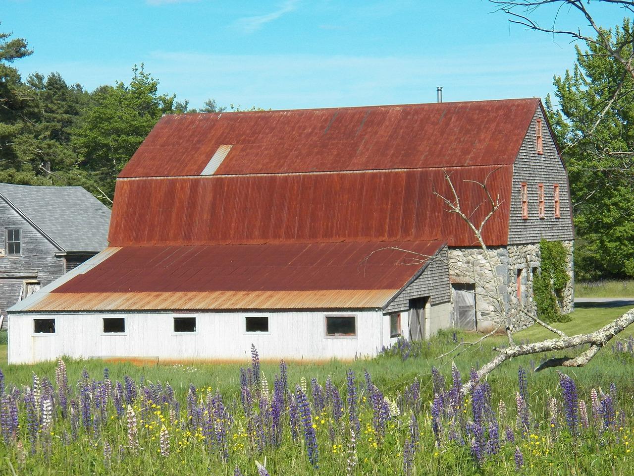 colony cottages bar harbor maine