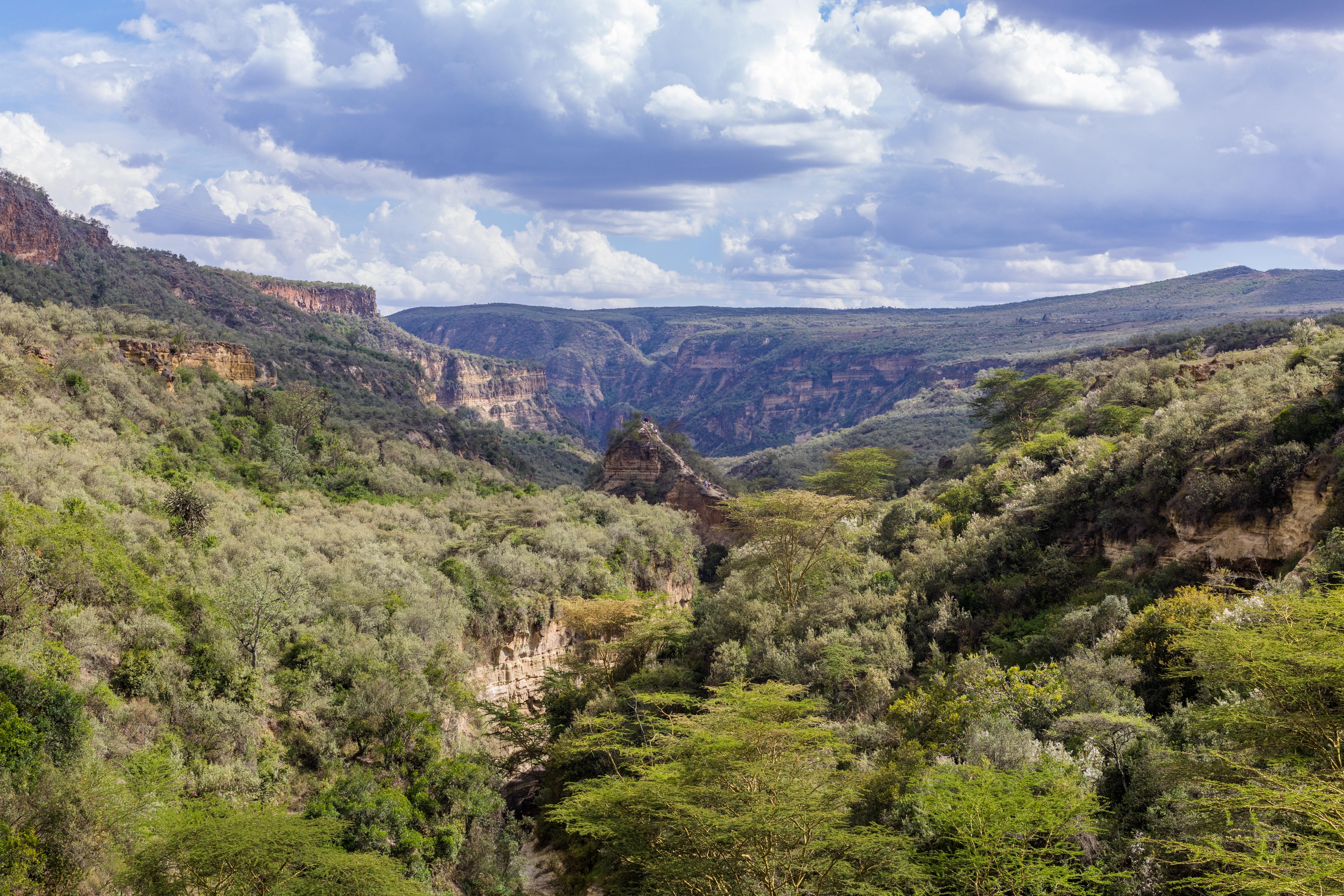 crown canyon paradise valley