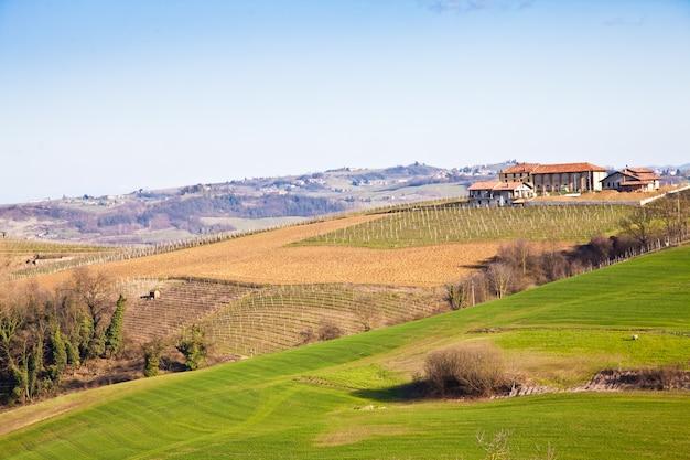 dolcetto piemonte