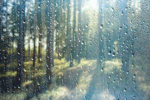 outdoor concert rain