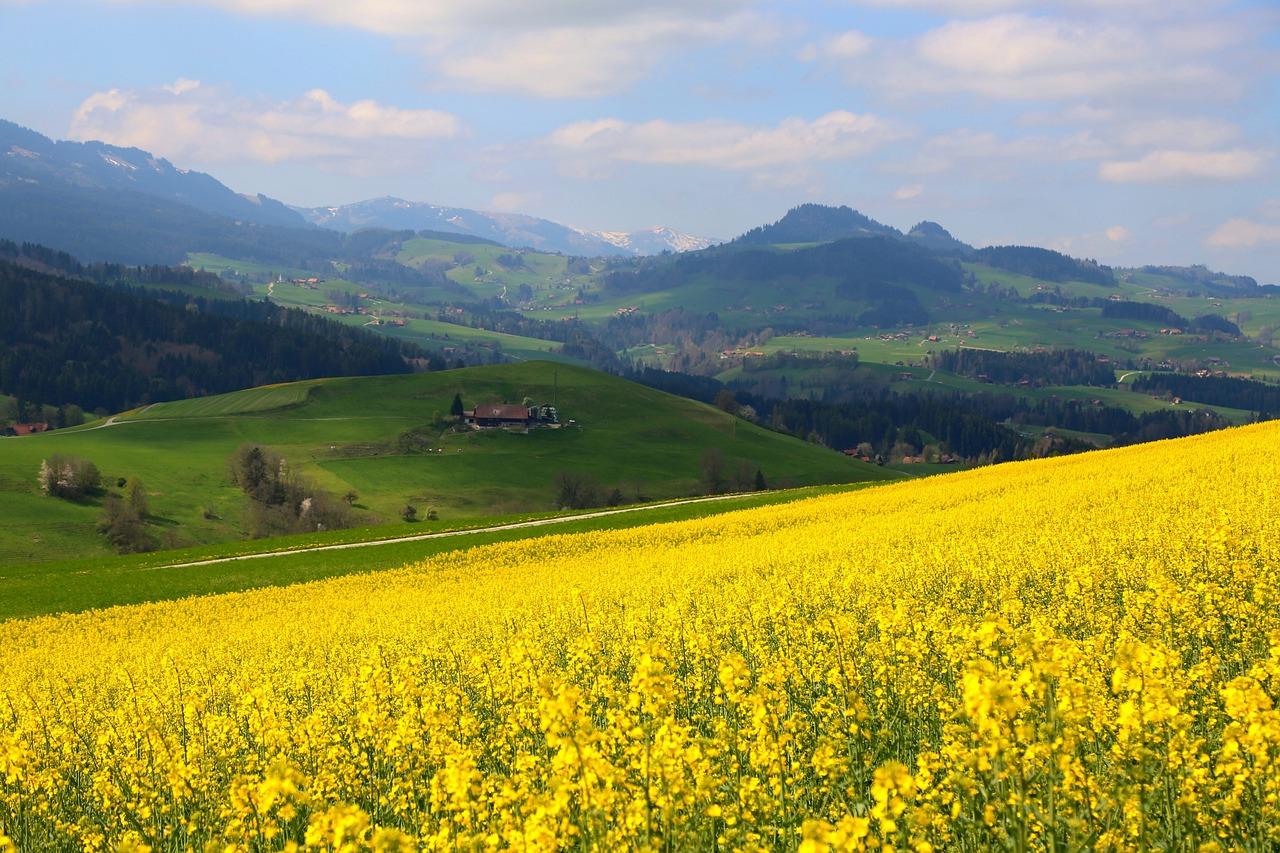 switzerland in the spring