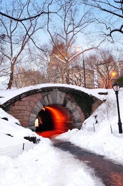 central park bridge home alone