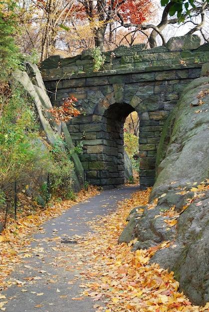 central park bridge home alone