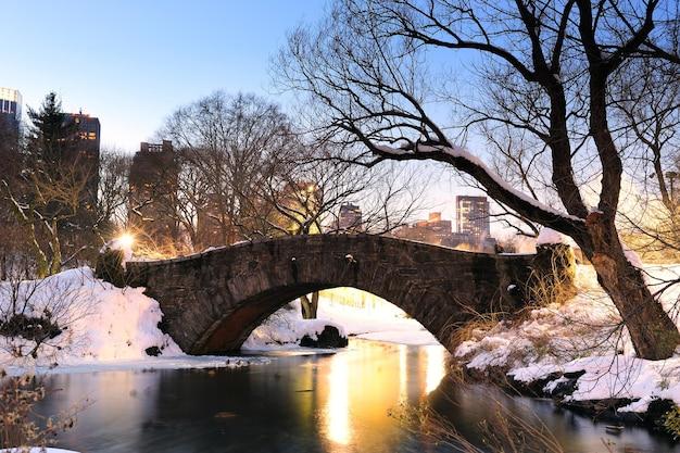 central park bridge home alone