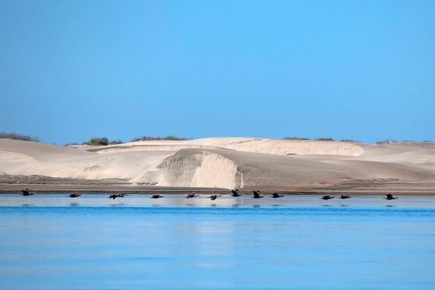 magdalena river cruise