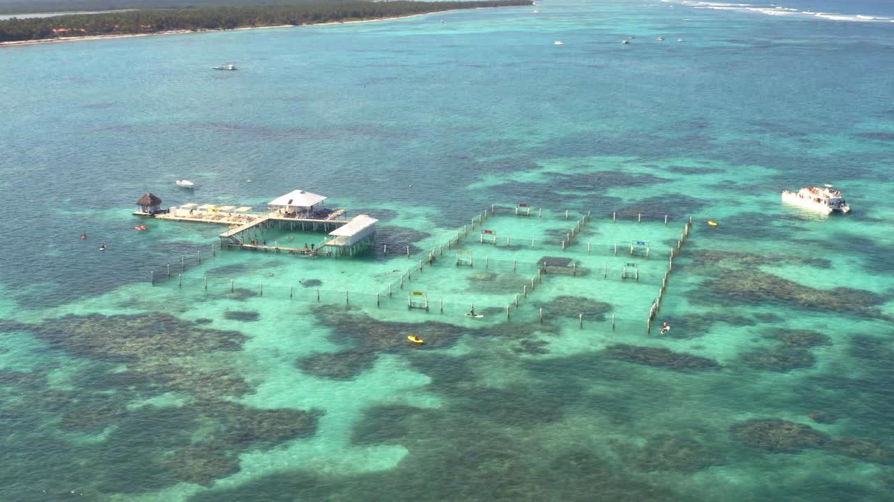 punta cana coral reef