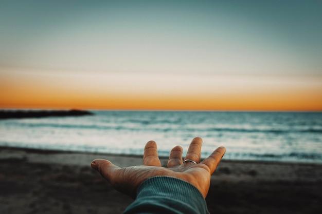 focus by the sea