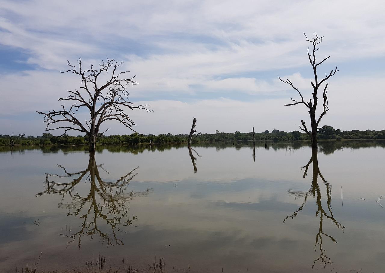 forbes lake