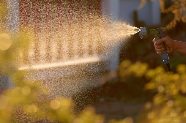 how long do termite inspections take