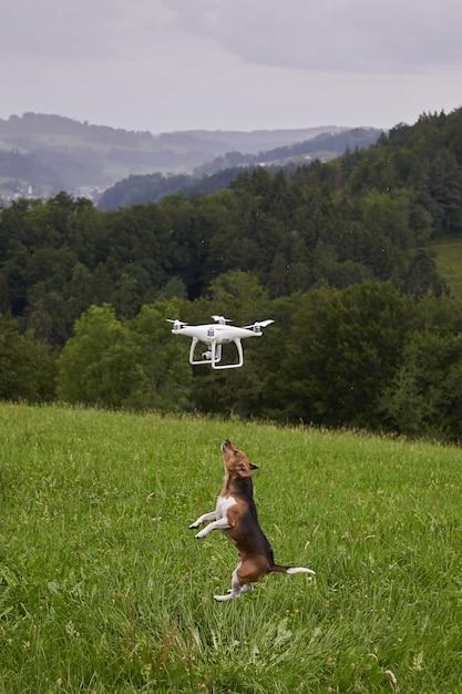 asylon drone dog