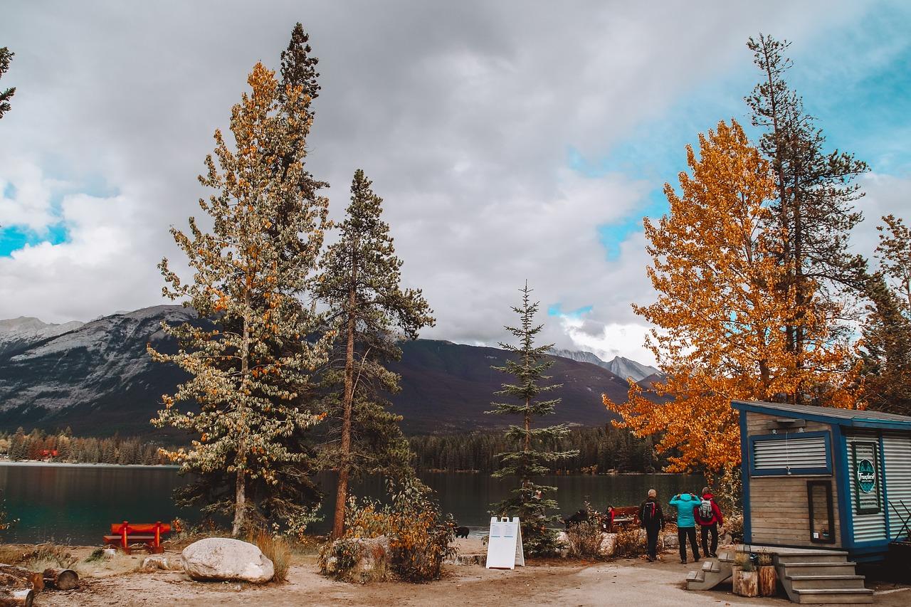 jasper in fall