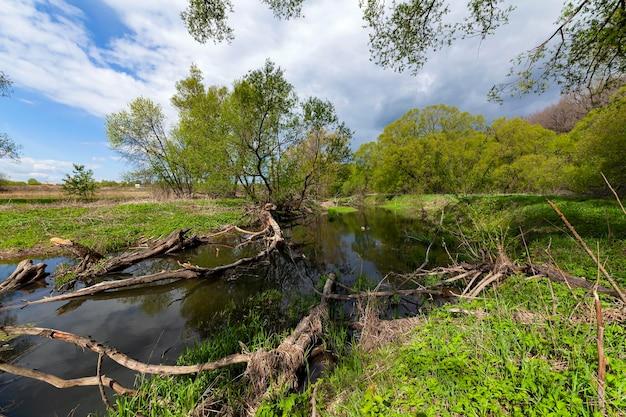 mitigation vs restoration