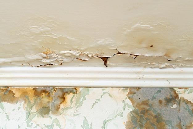 pictures of water damage vs termite damage