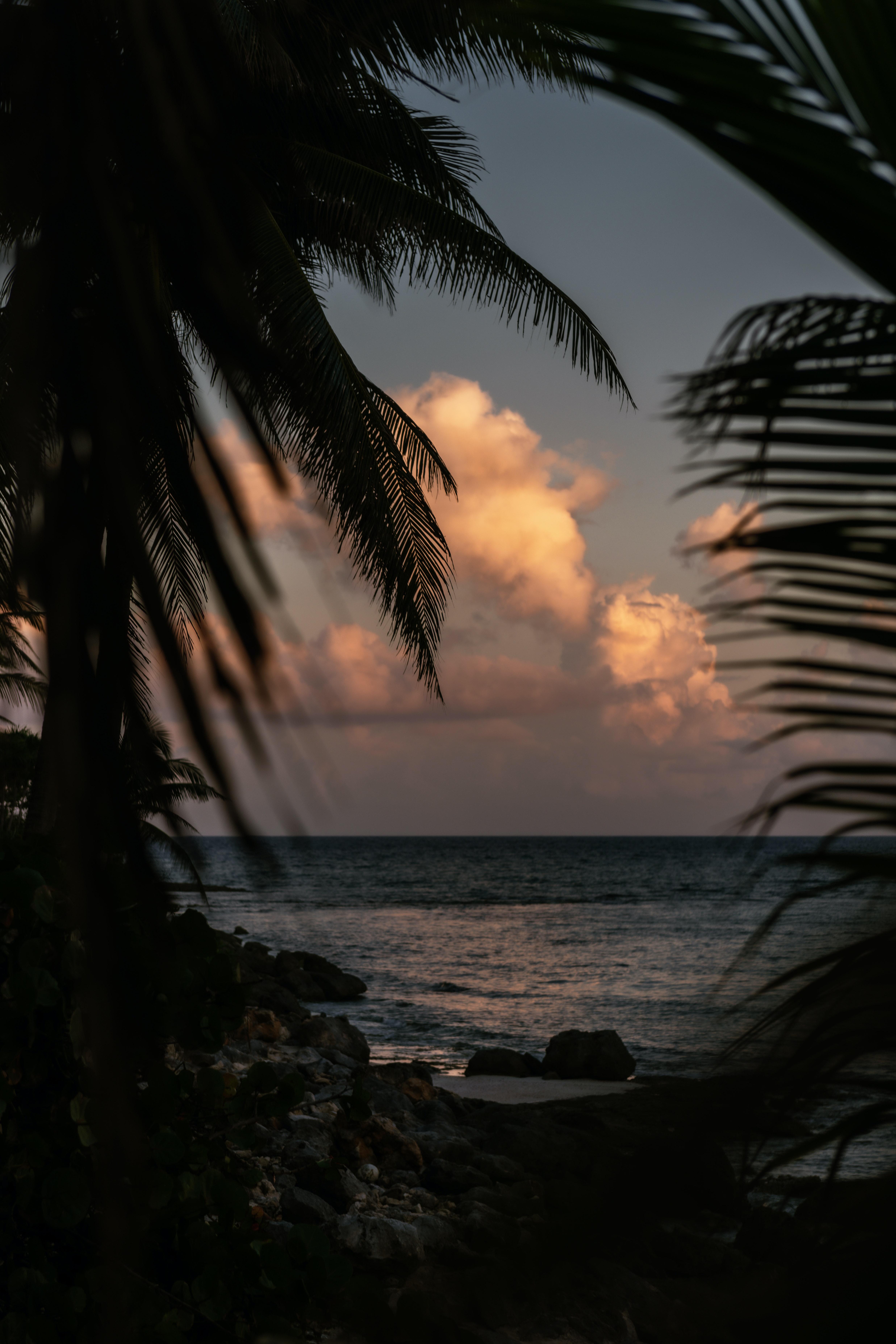 playa del carmen bachelor party