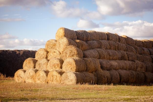 rolling hay bale