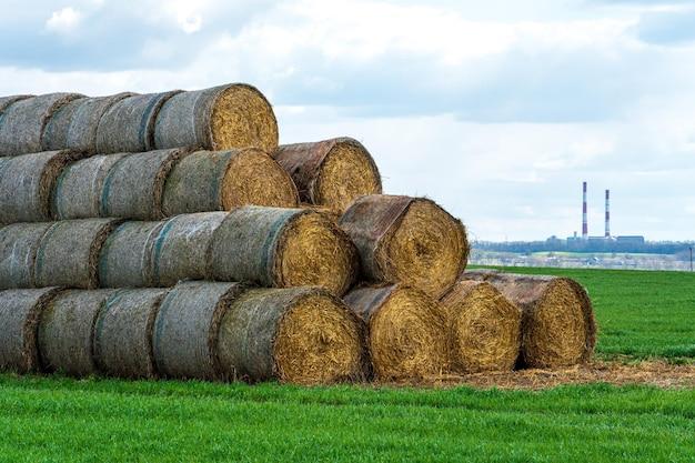 rolling hay bale