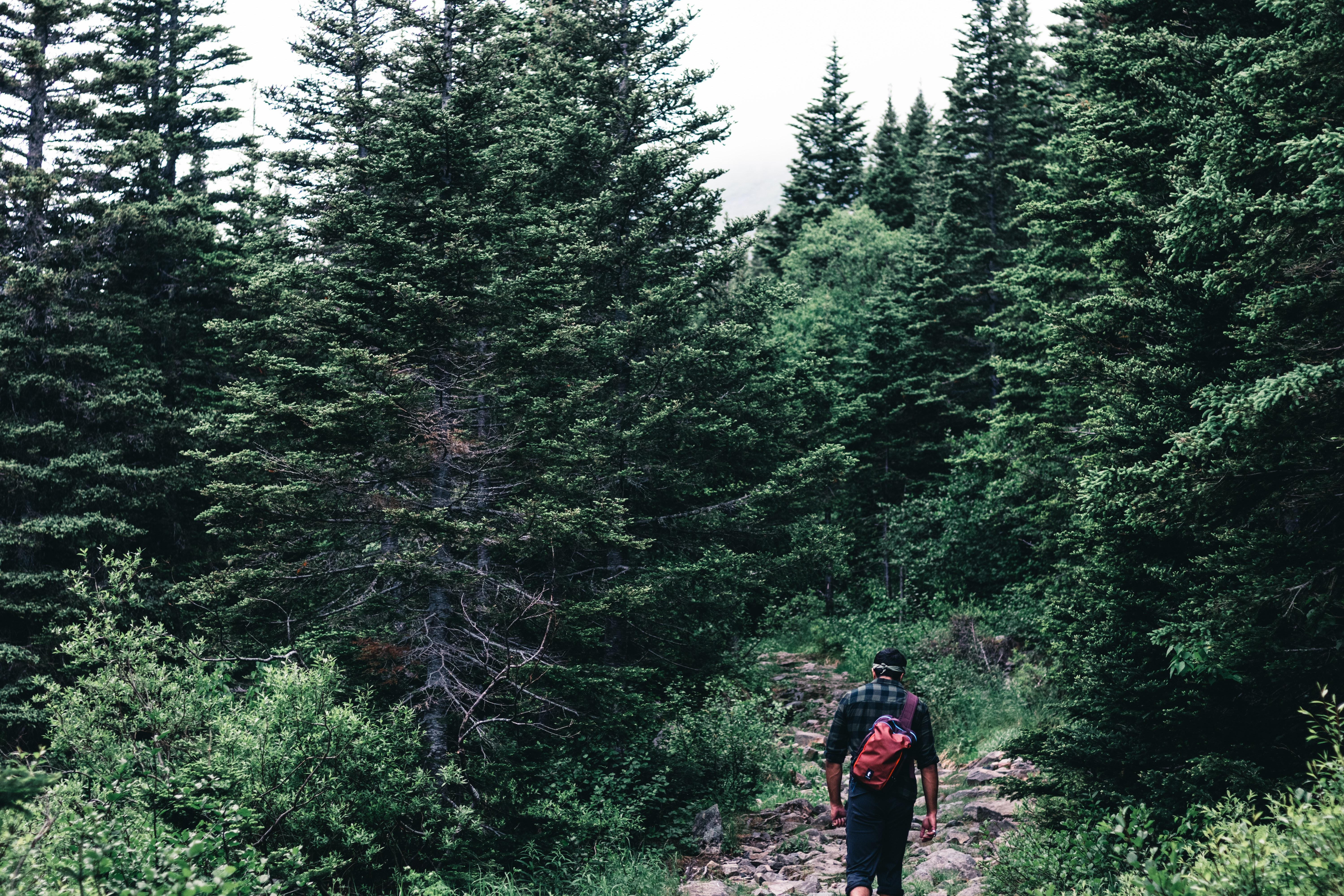 teenagers hiking