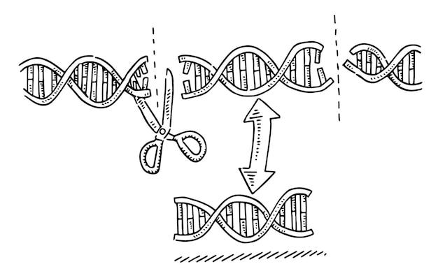 crispr license