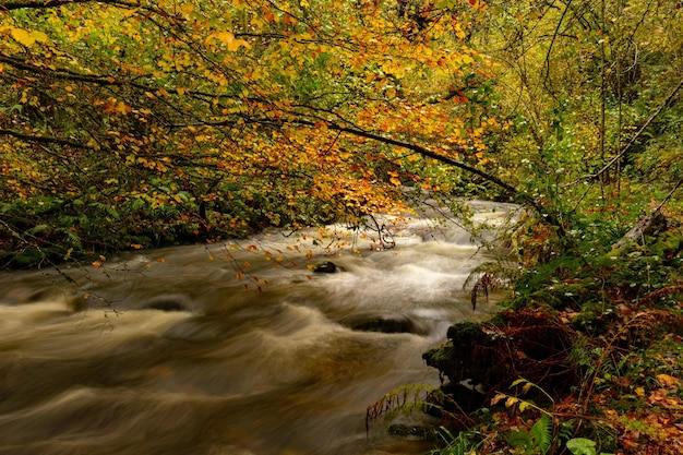 crisp autumn air