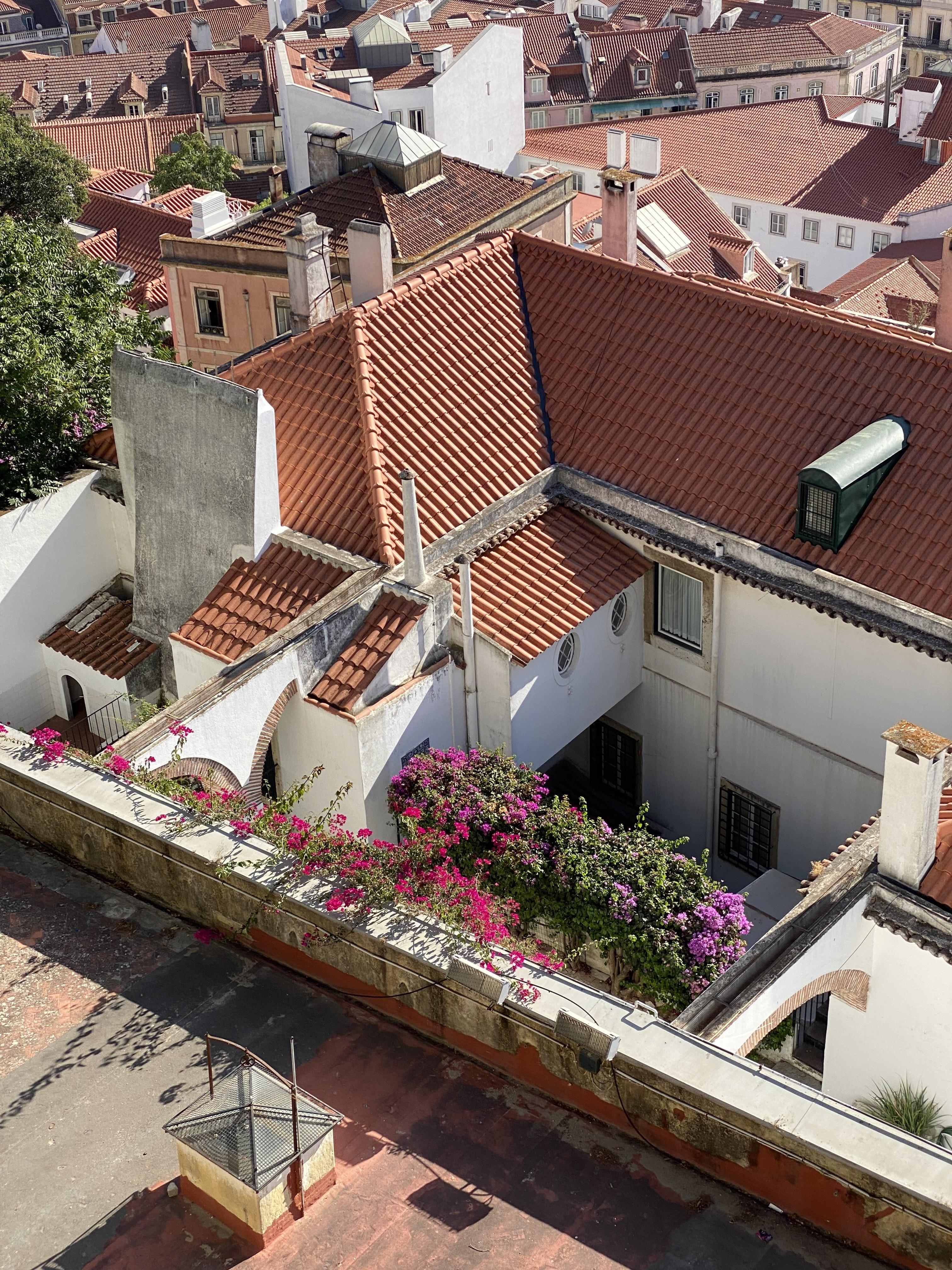 townhouse shared roof