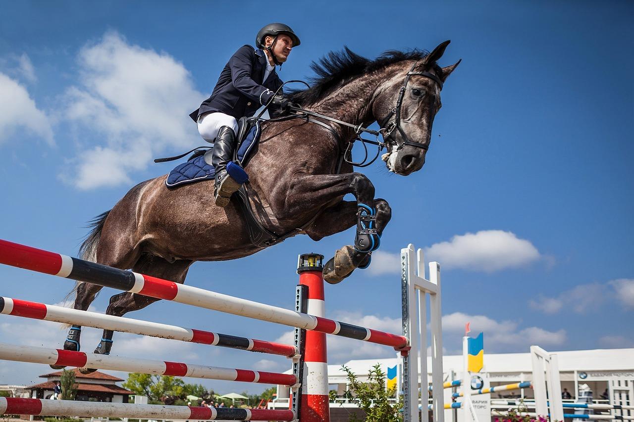 miami horse show