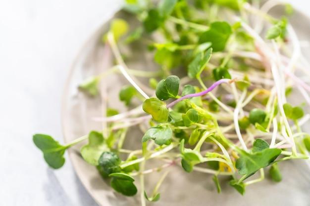 broccoli sprout shots