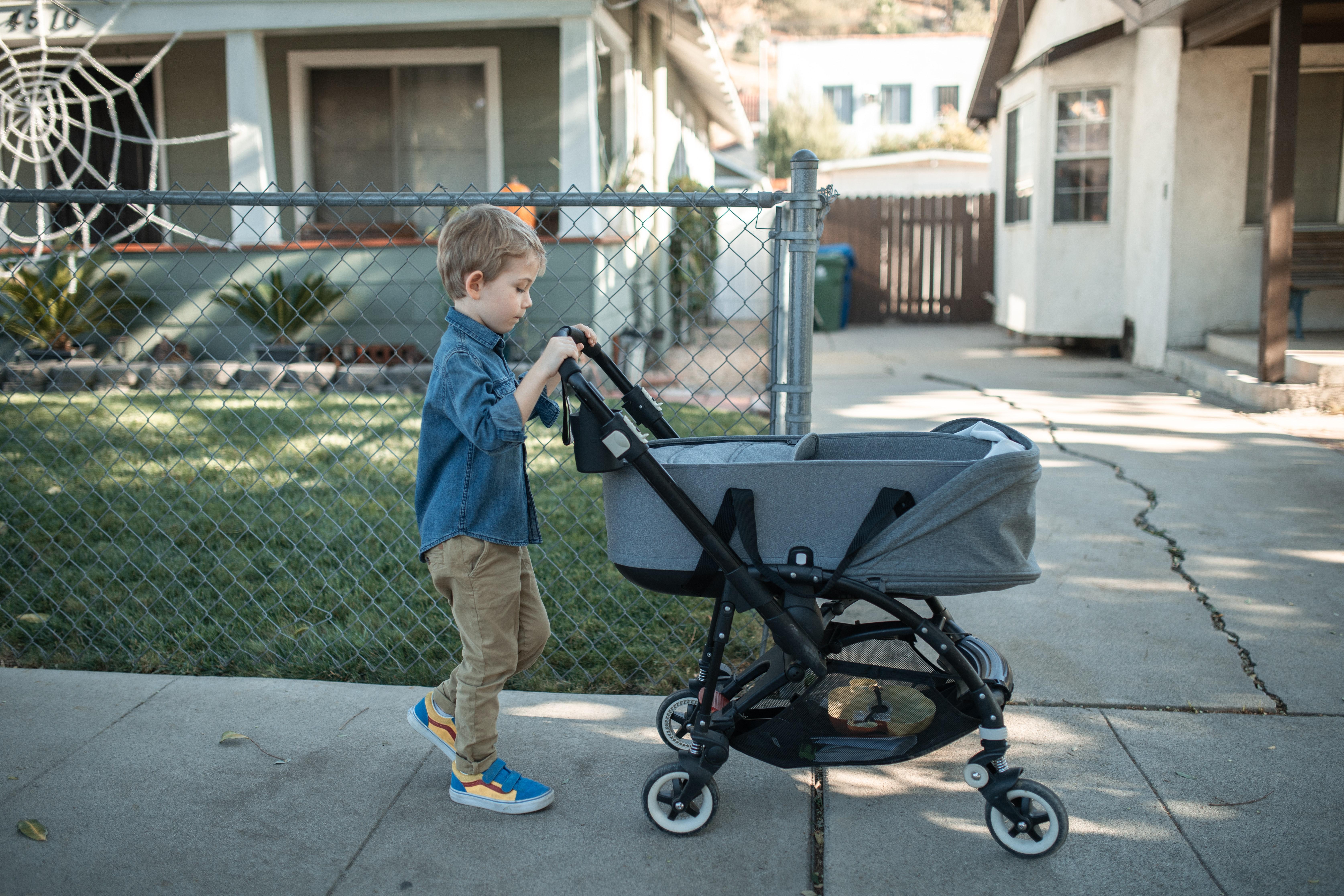 cruz uppababy fold