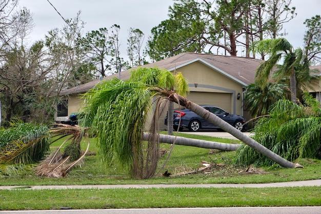 tree fell on roof