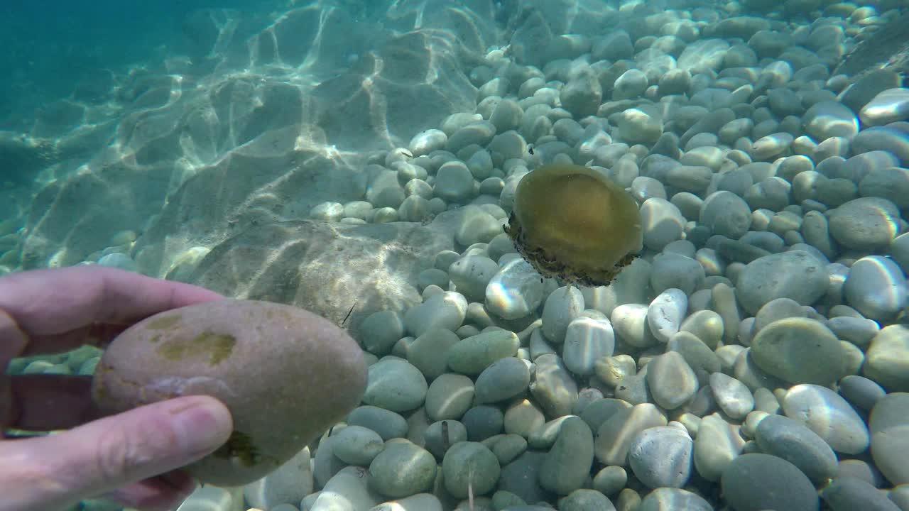 atlantic water gardens