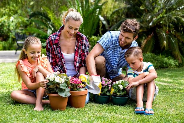 family garden