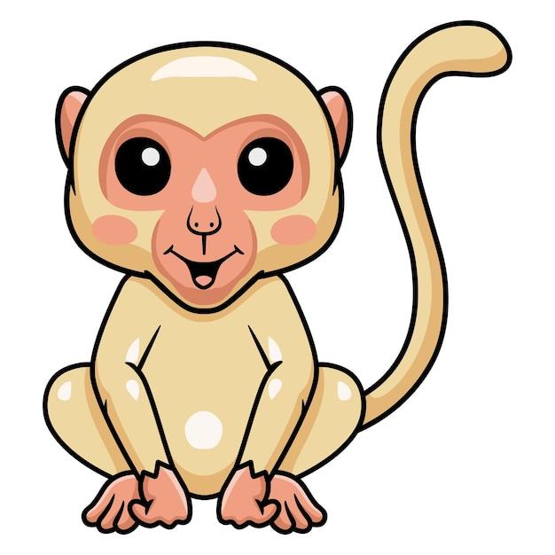 albino monkeys