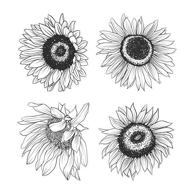 Share more than 77 sunflower stencil tattoo latest  ineteachers