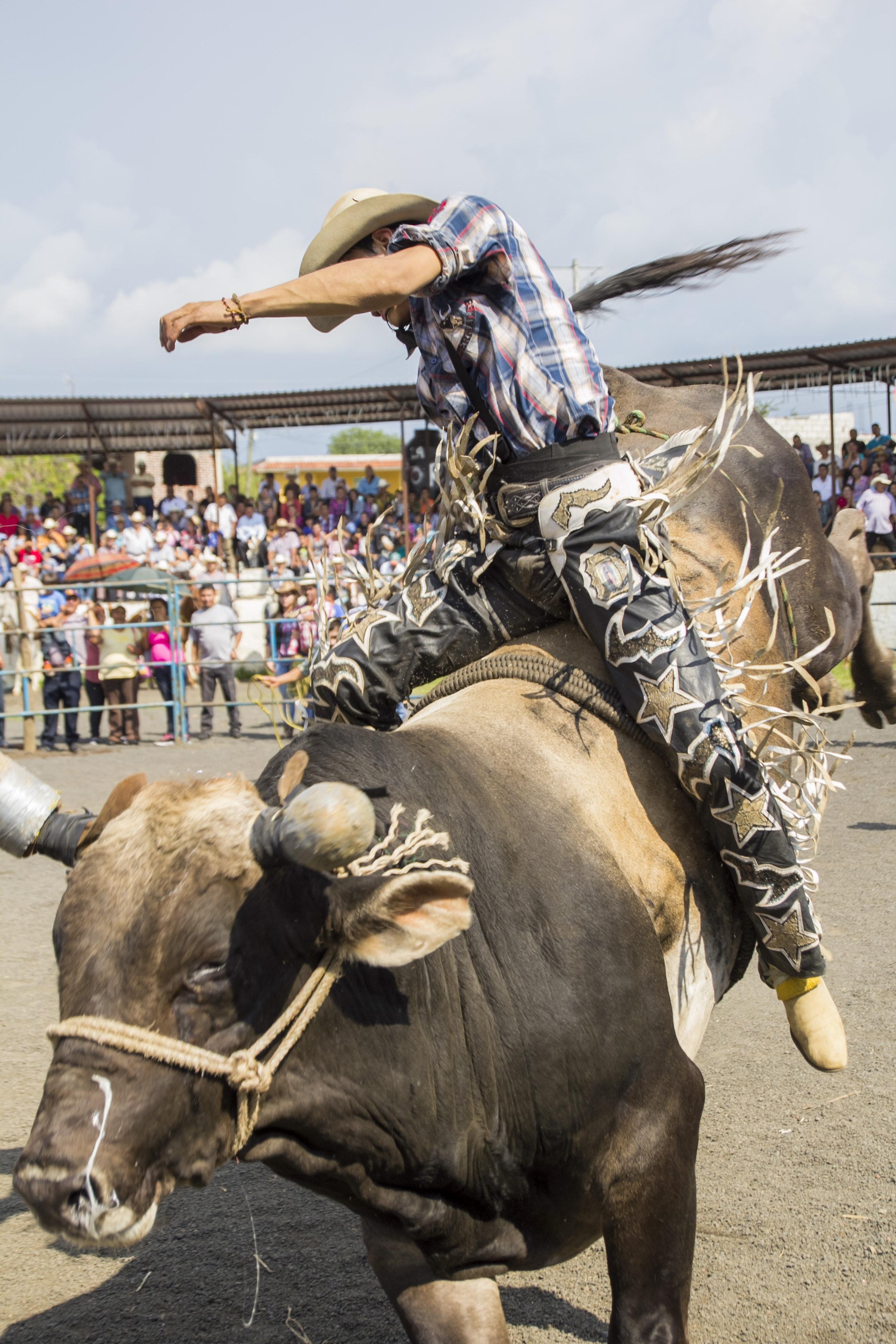 bull riding helmets