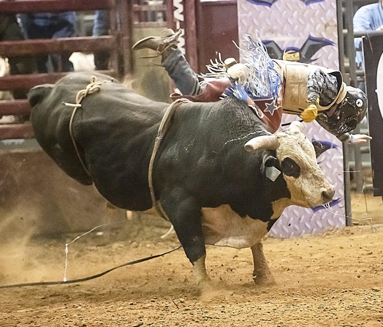 Ovah Coffee: What to Look For in a Good Bull Riding Helmet